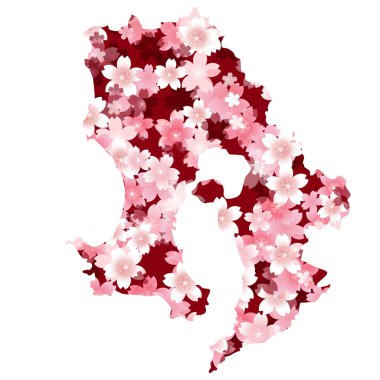 Kagoshima　spring cherry blossoms